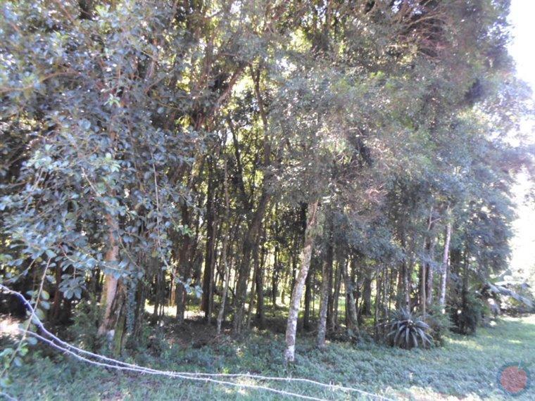 Fotos do imóvel - IM11529