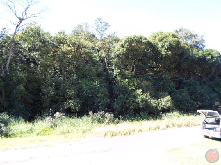 Fotos do imóvel - IM11529