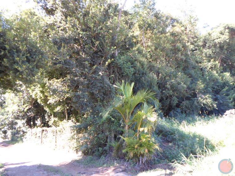 Fotos do imóvel - IM11529