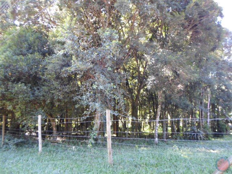 Fotos do imóvel - IM11529