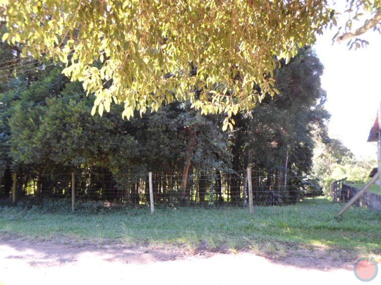 Fotos do imóvel - IM11529