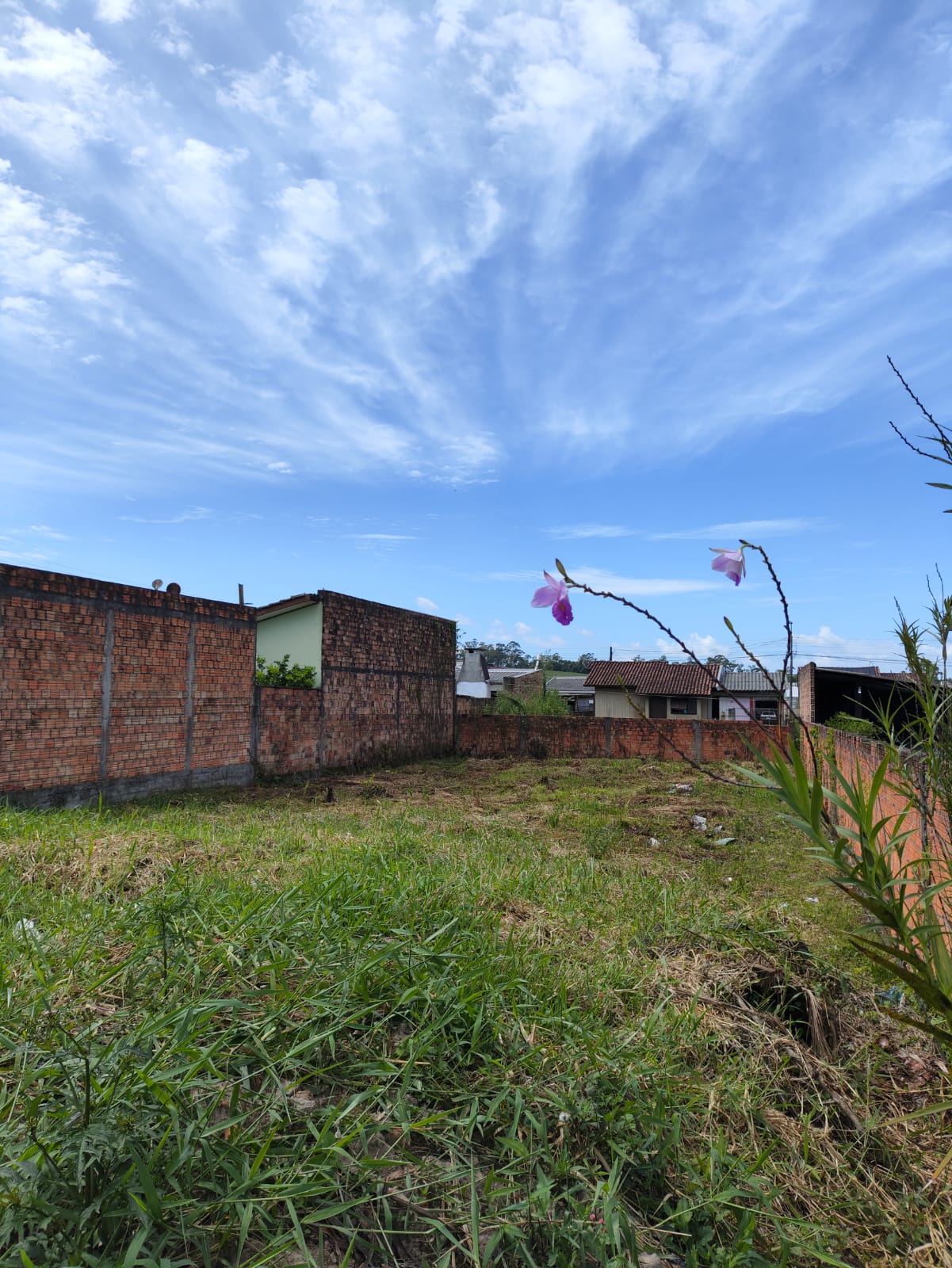 Fotos do imóvel - IM12080