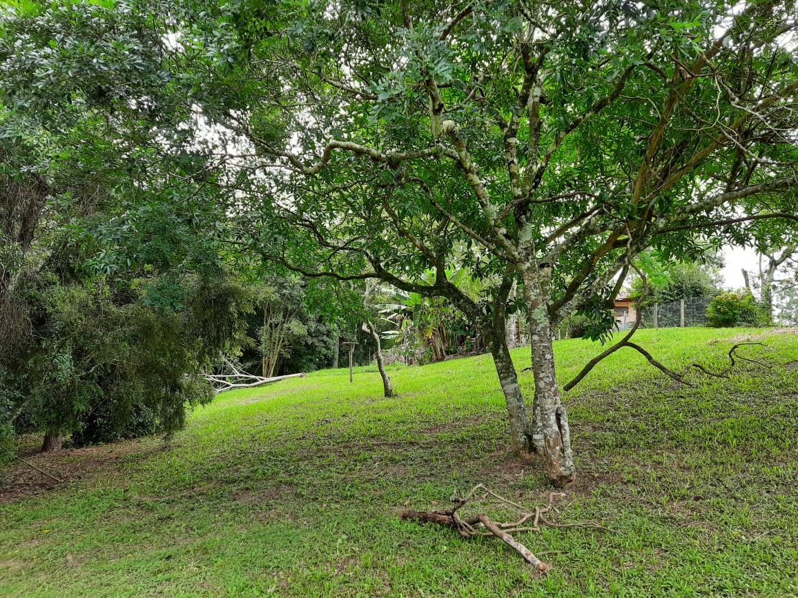 Fotos do imóvel - IM15853