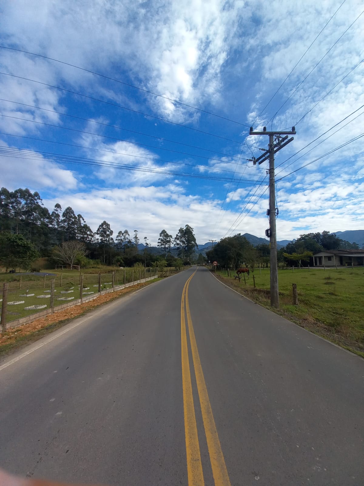 Fotos do imóvel - IM16920