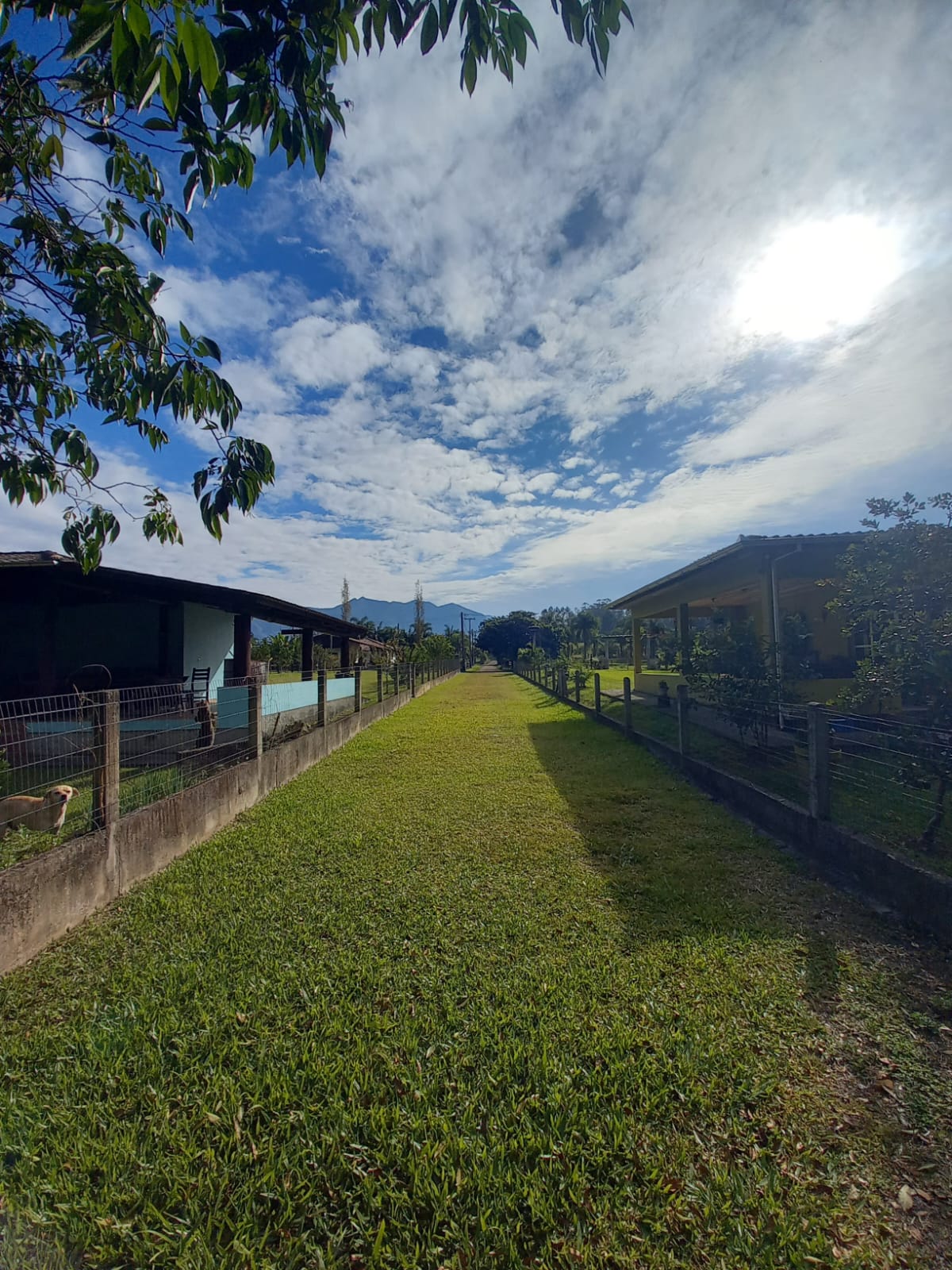 Fotos do imóvel - IM16920