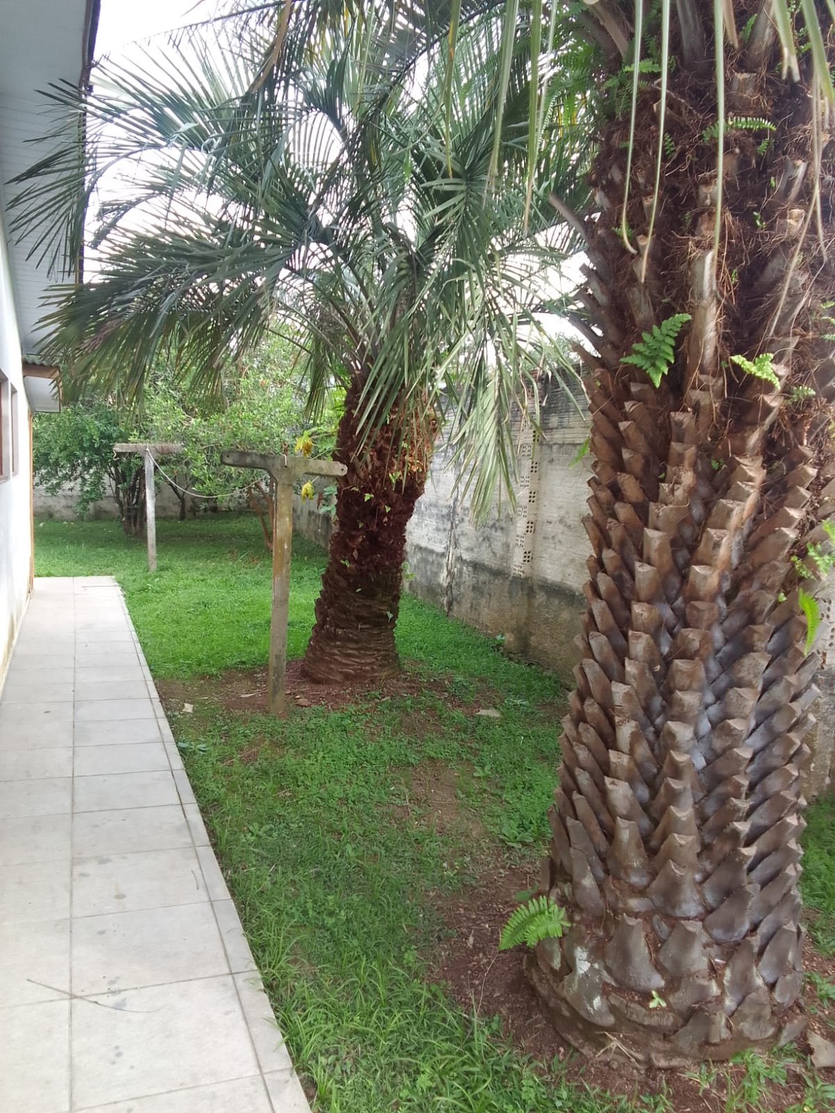 Fotos do imóvel - IM16930