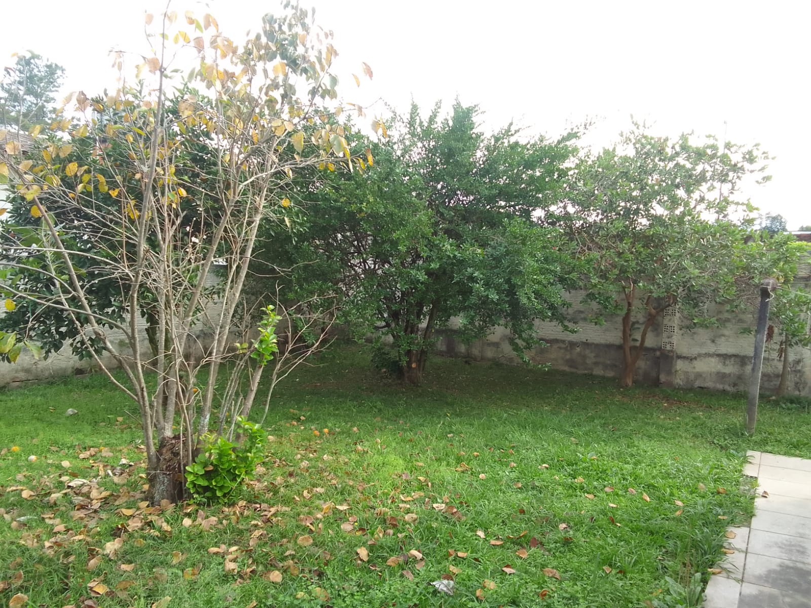 Fotos do imóvel - IM16930