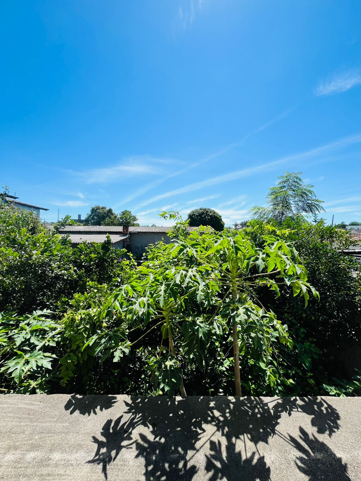 Fotos do imóvel - IM16971