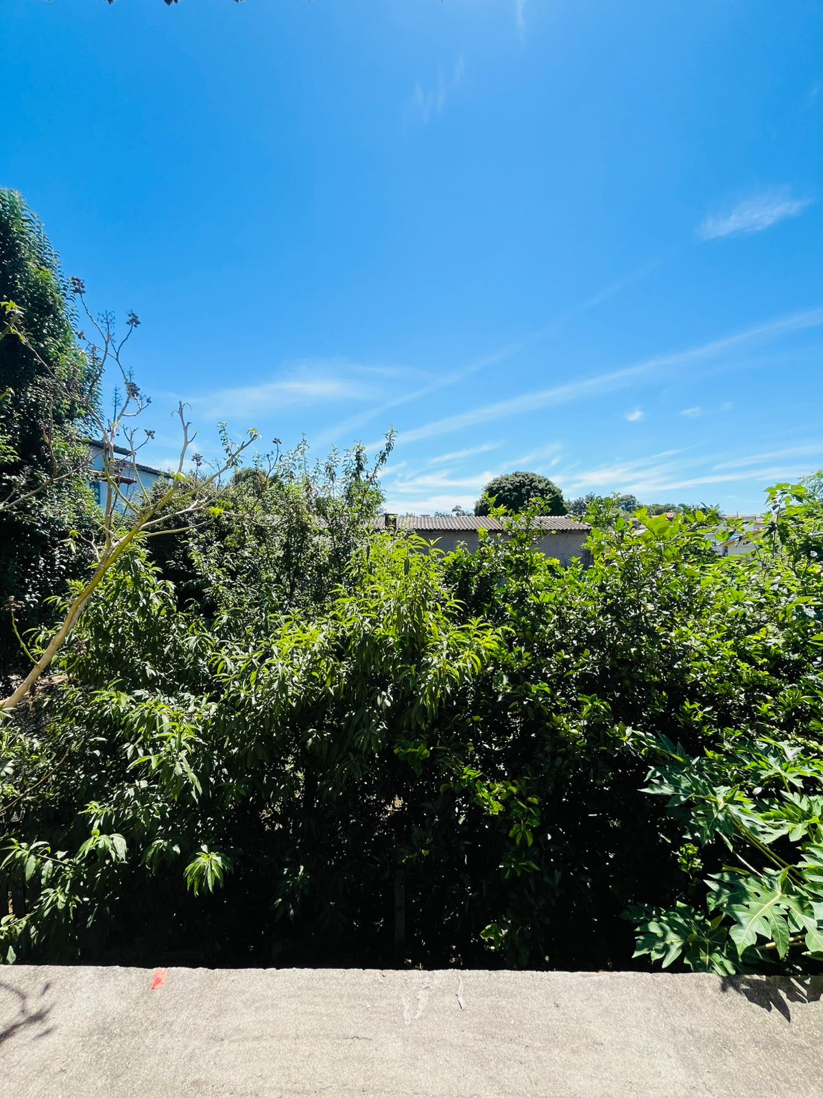 Fotos do imóvel - IM16971