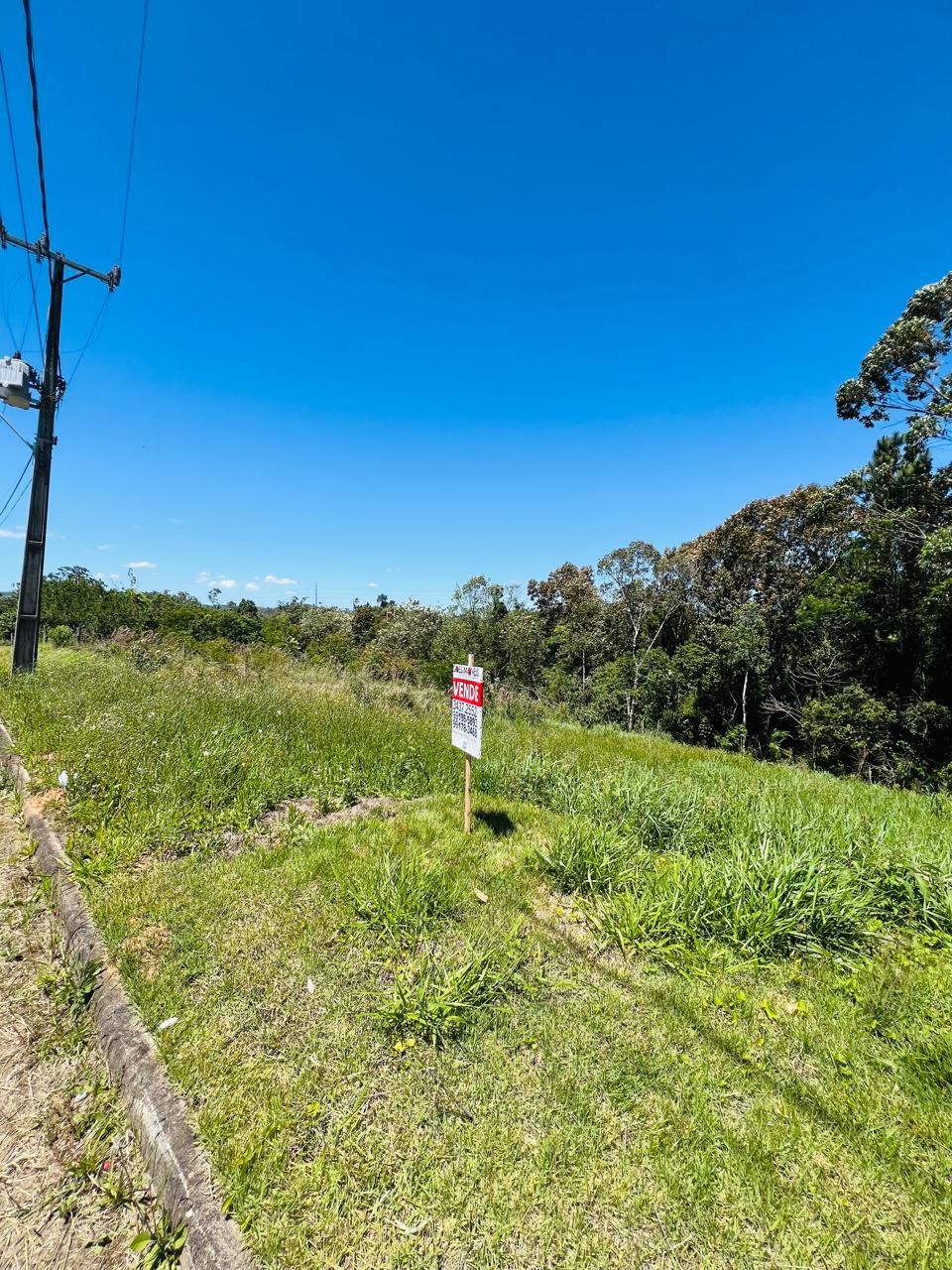 Fotos do imóvel - IM17159