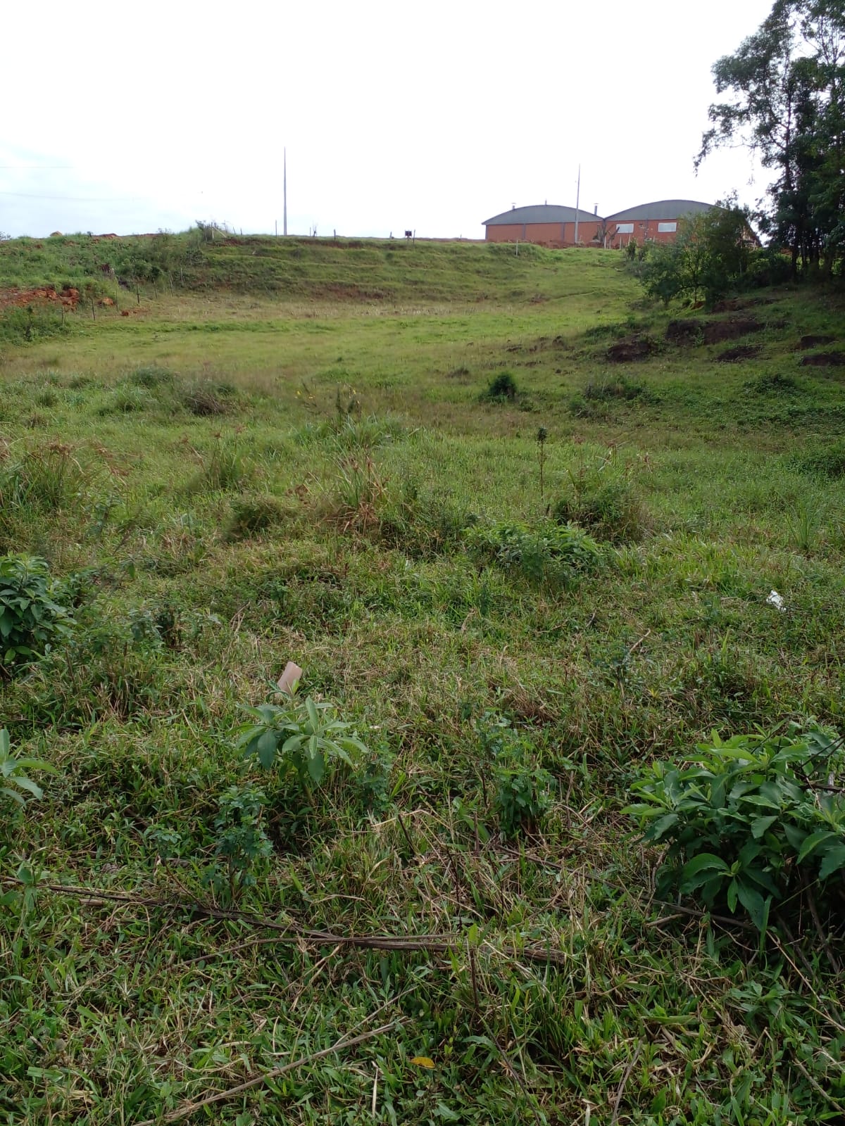 Fotos do imóvel - IM17224