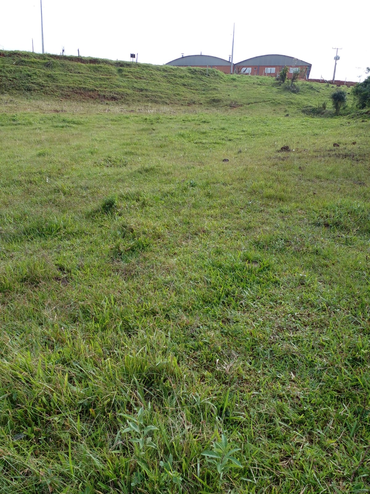 Fotos do imóvel - IM17224