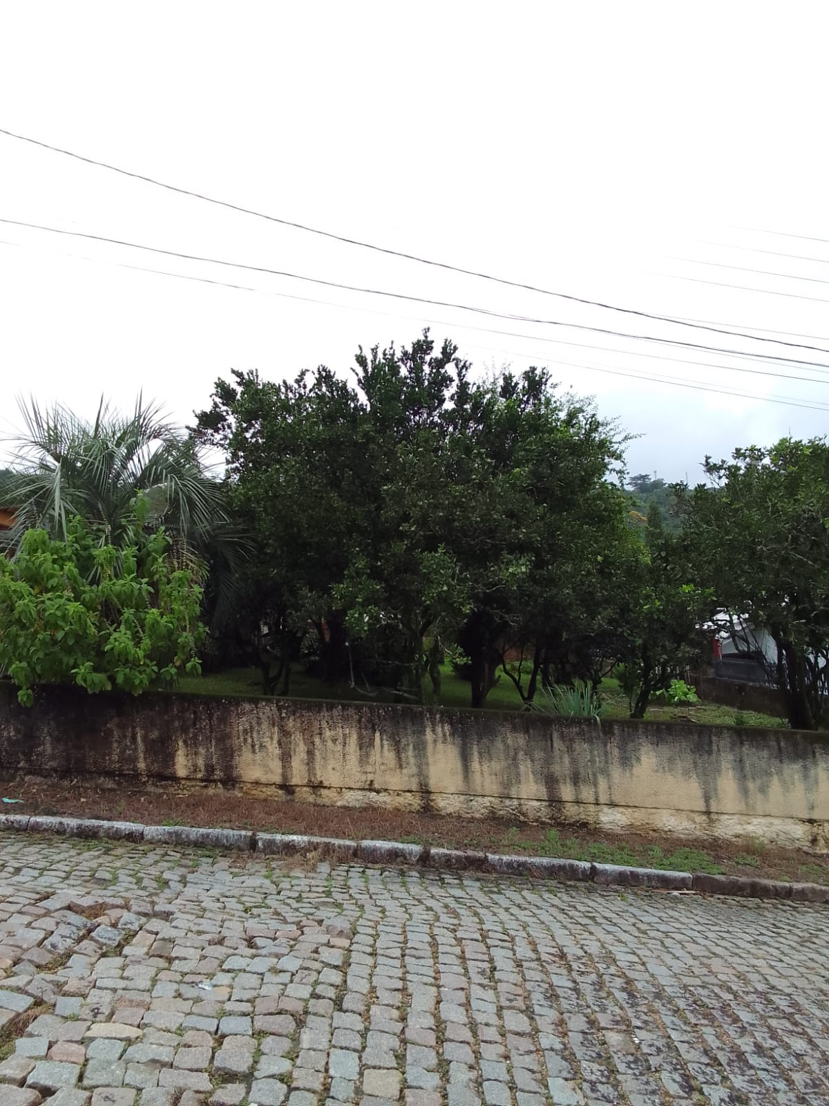 Fotos do imóvel - IM17318