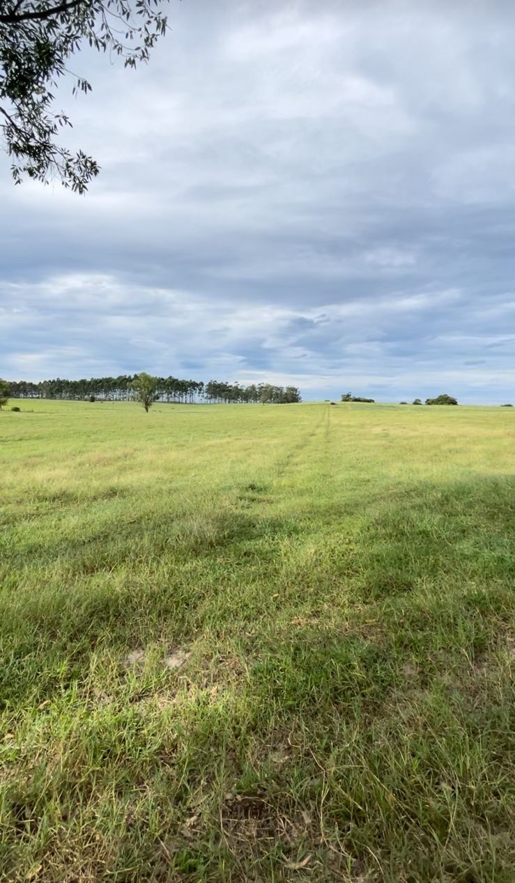 Fotos do imóvel - IM17470