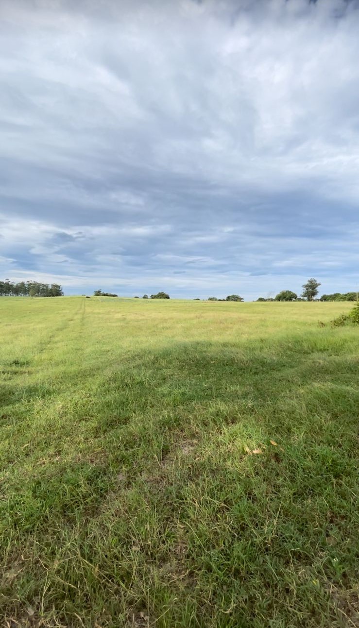 Fotos do imóvel - IM17470