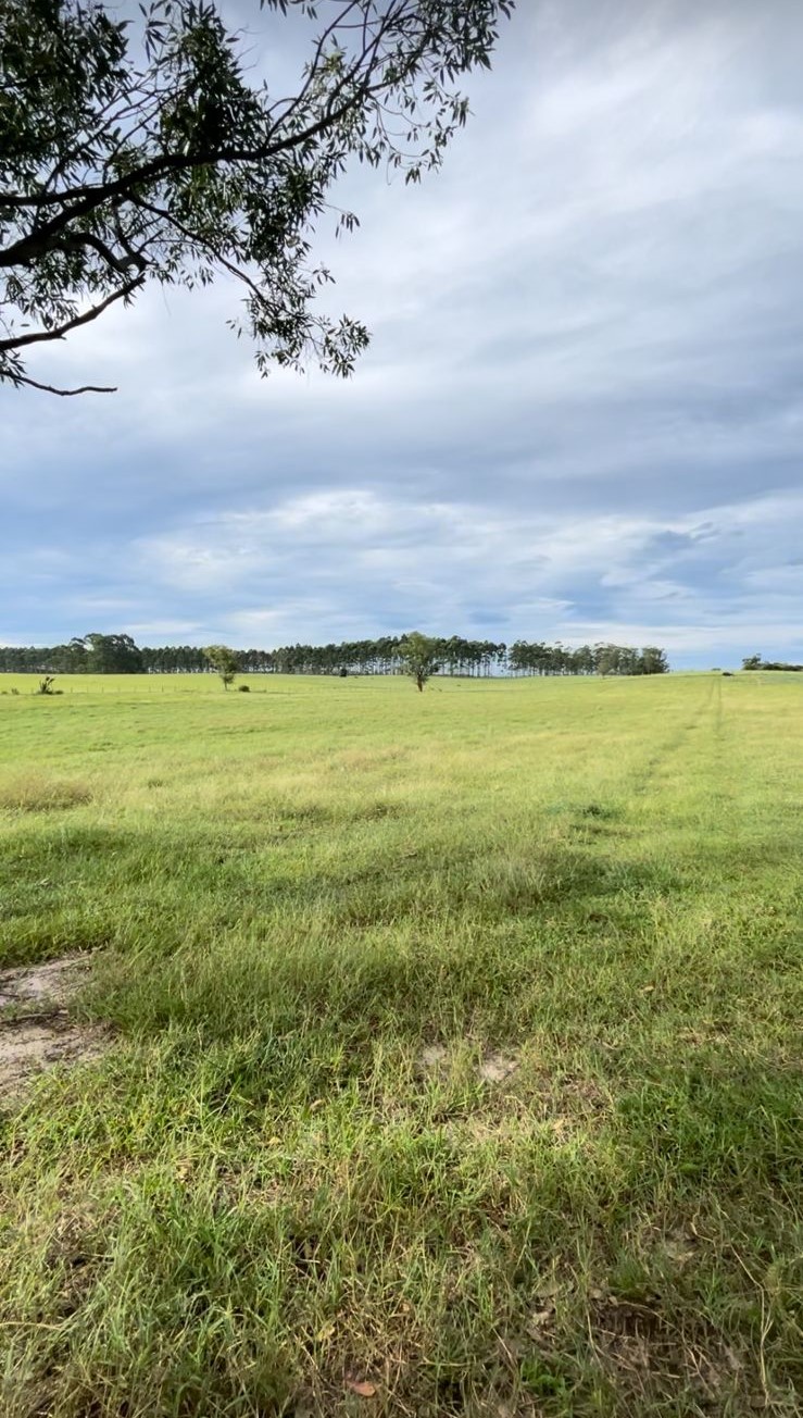 Fotos do imóvel - IM17470