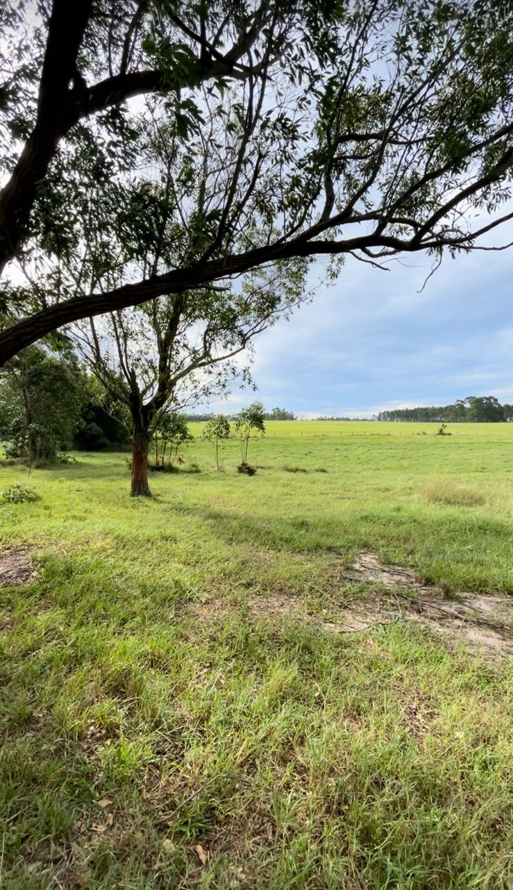 Fotos do imóvel - IM17470