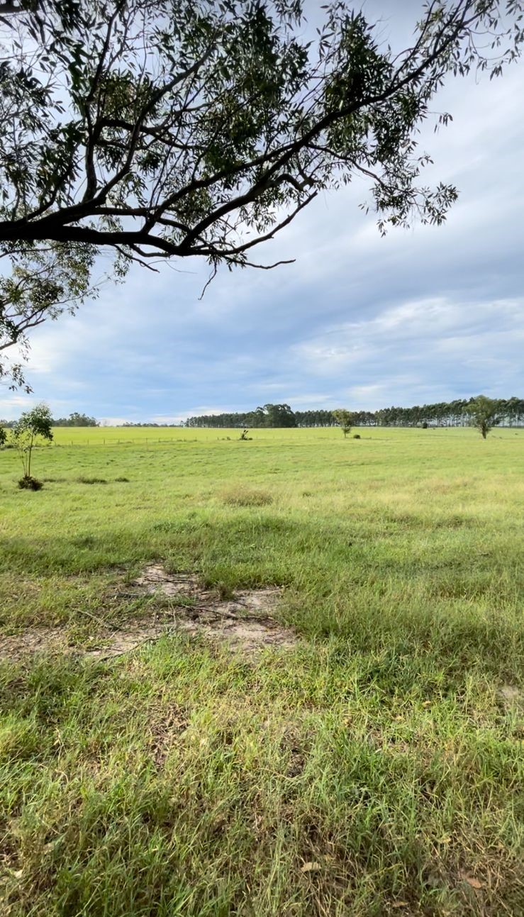 Fotos do imóvel - IM17470