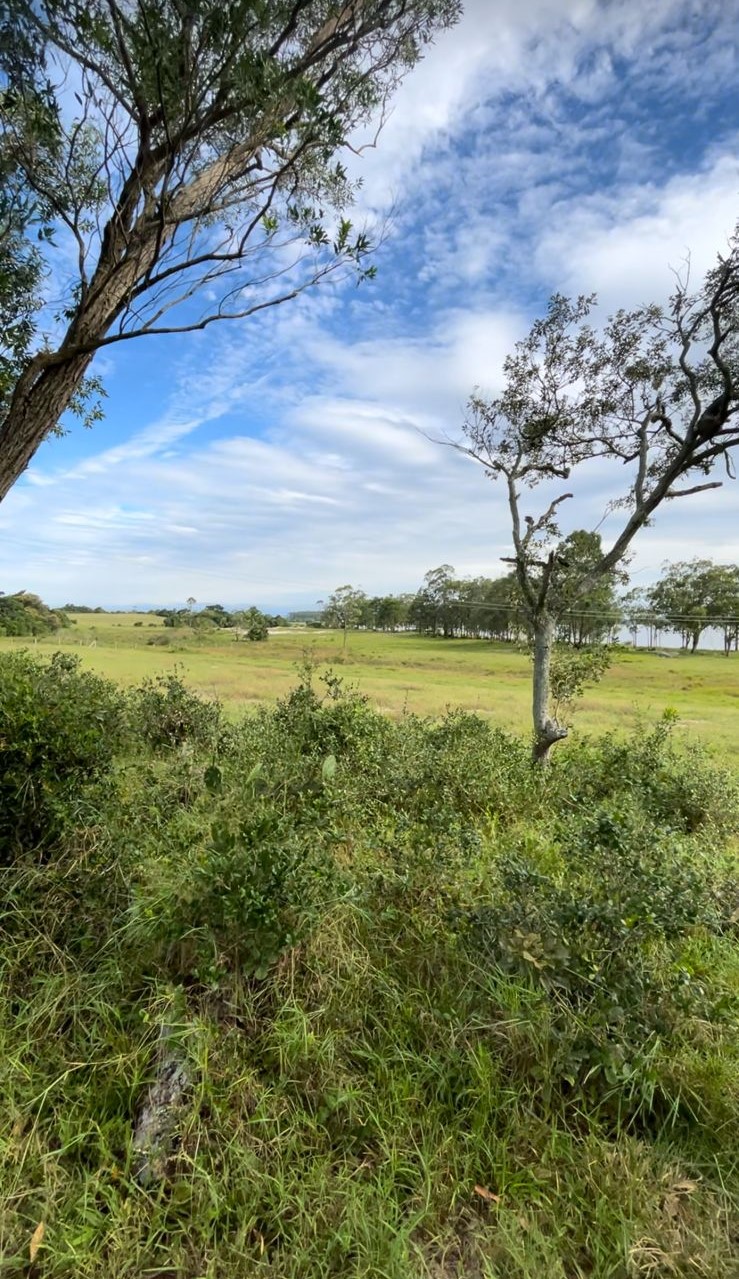 Fotos do imóvel - IM17470