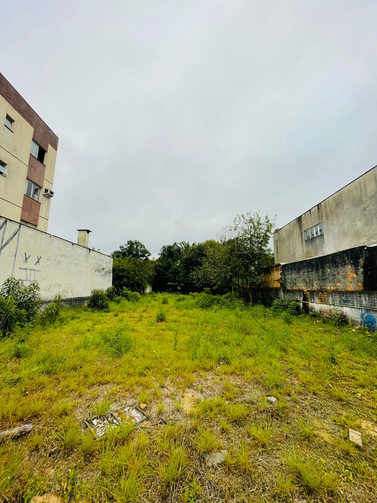 Fotos do imóvel - IM17506