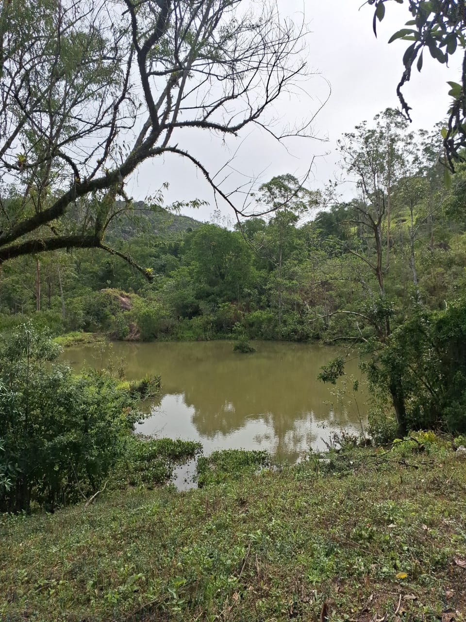 Fotos do imóvel - IM17648