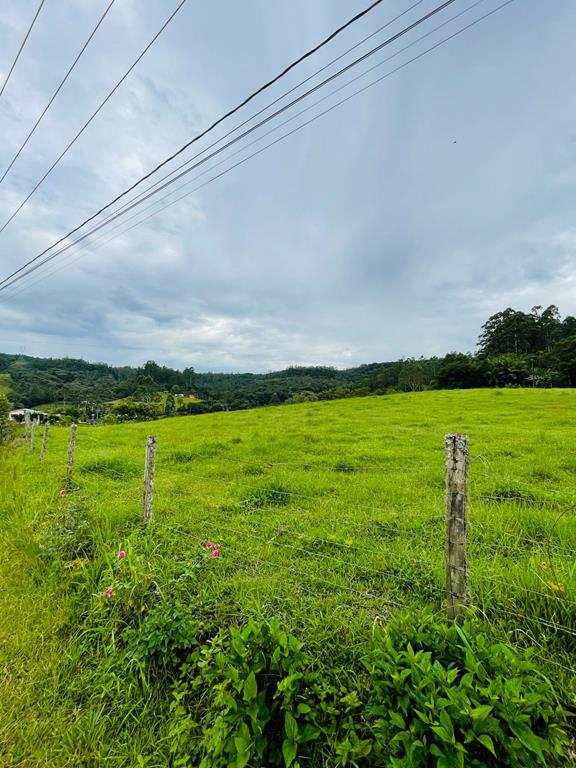 Fotos do imóvel - IM17719