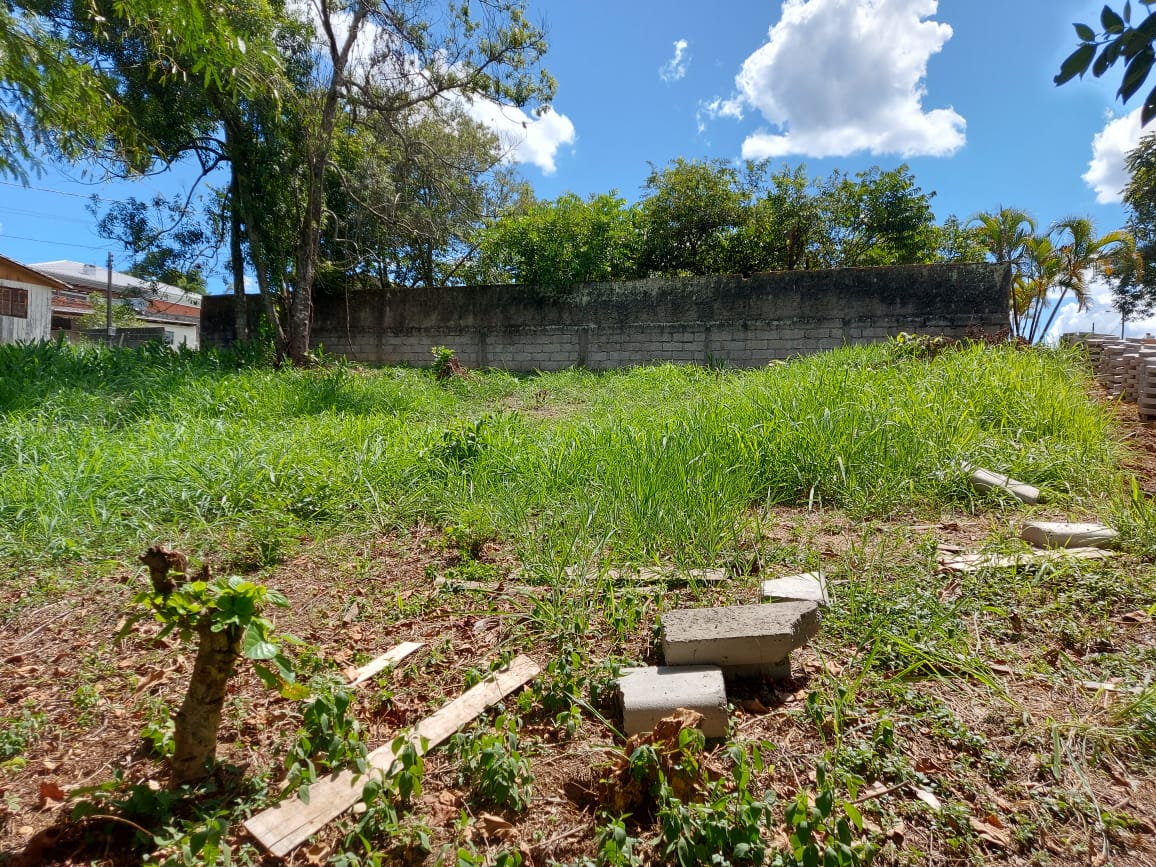 Fotos do imóvel - IM17750