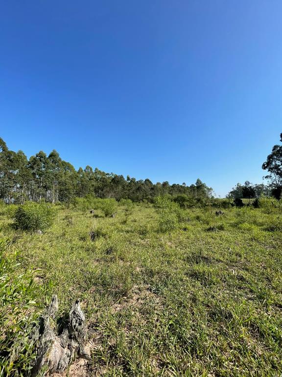 Fotos do imóvel - IM17757