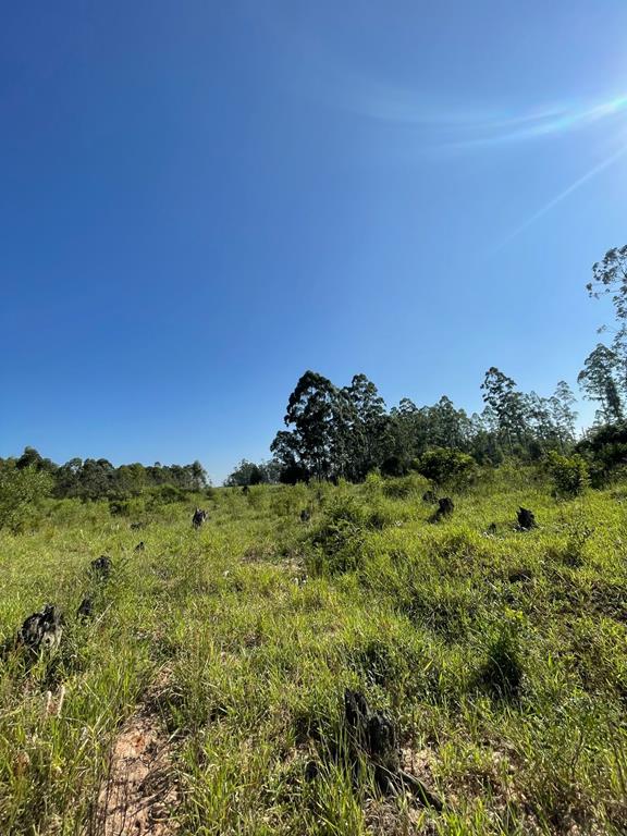 Fotos do imóvel - IM17757