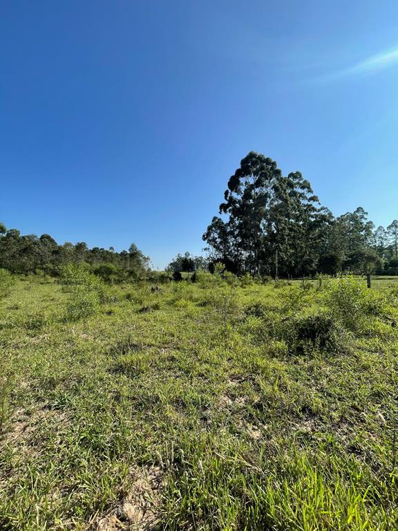 Fotos do imóvel - IM17757