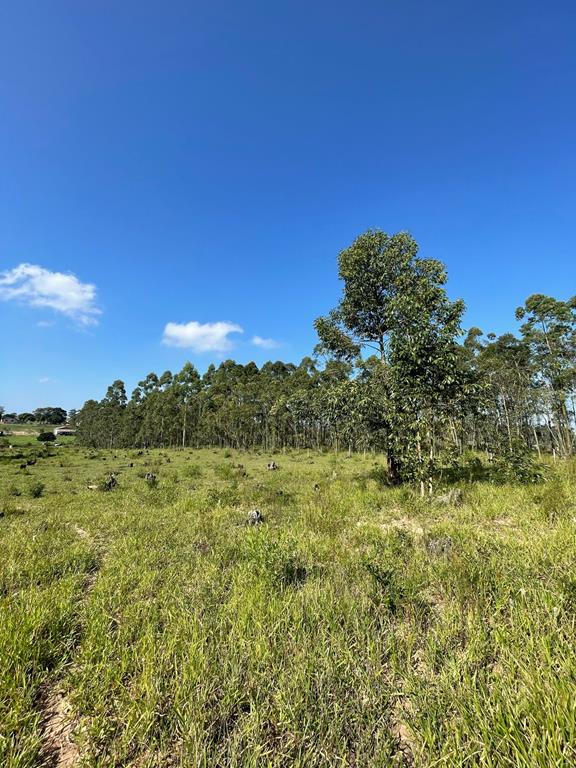 Fotos do imóvel - IM17757