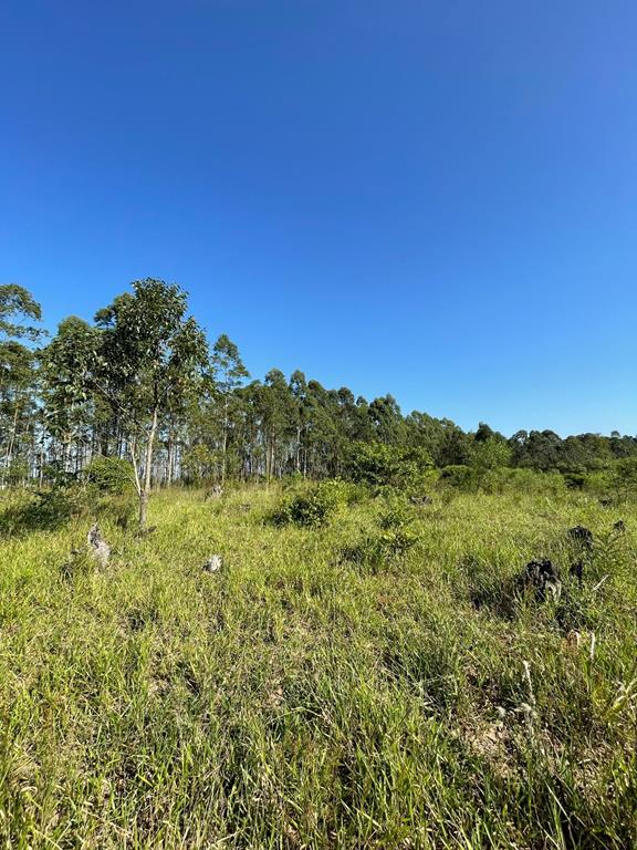 Fotos do imóvel - IM17757