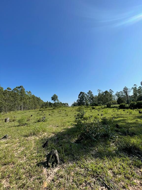 Fotos do imóvel - IM17757