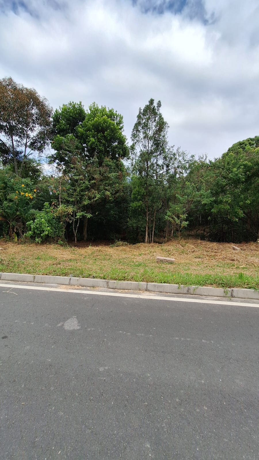 Fotos do imóvel - IM17771