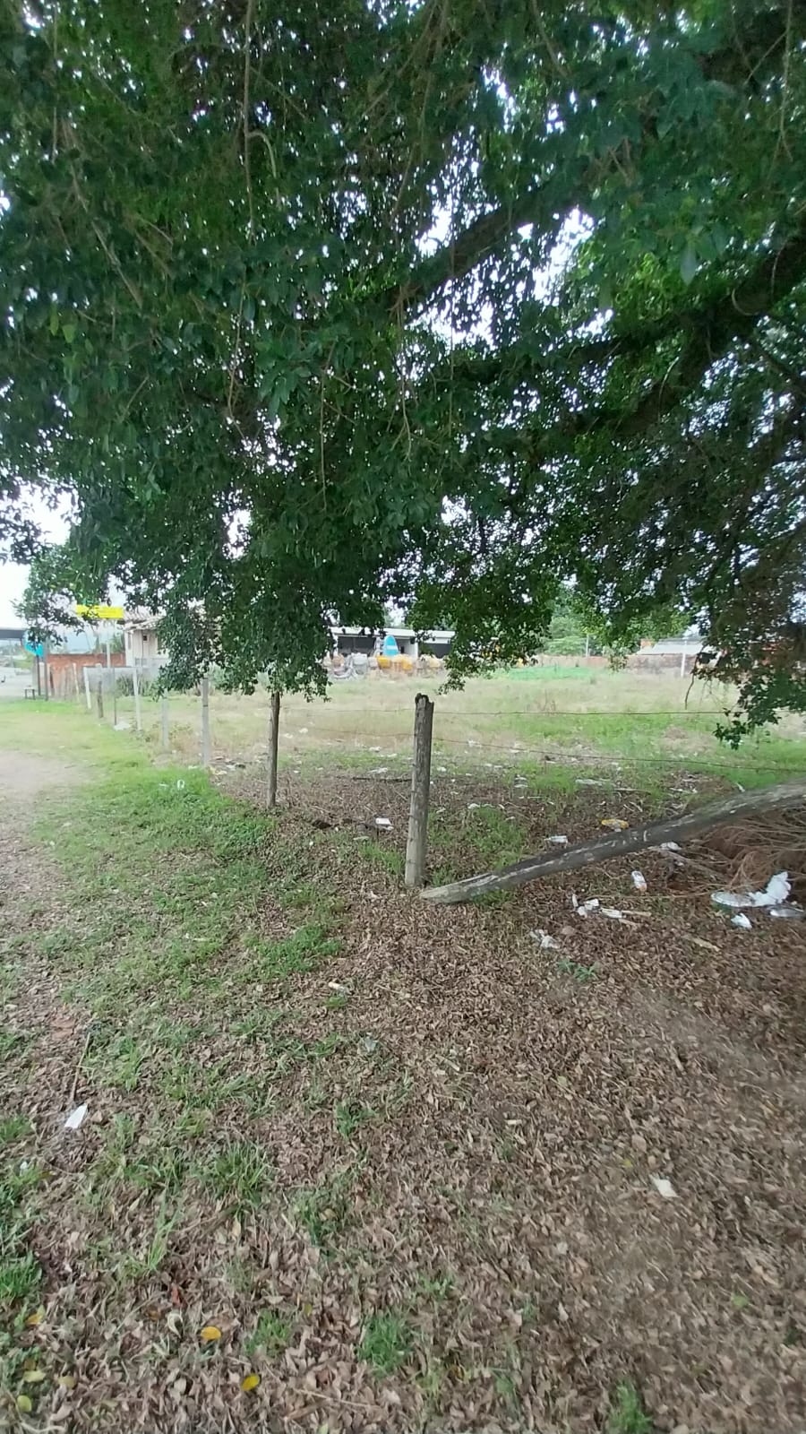 Fotos do imóvel - IM17792