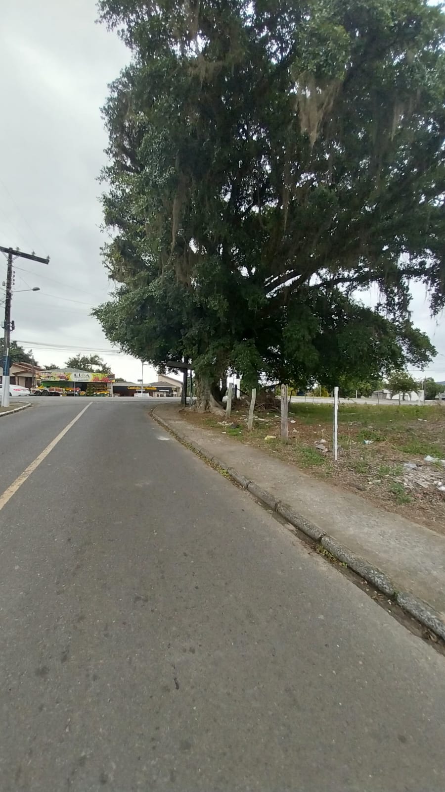 Fotos do imóvel - IM17792