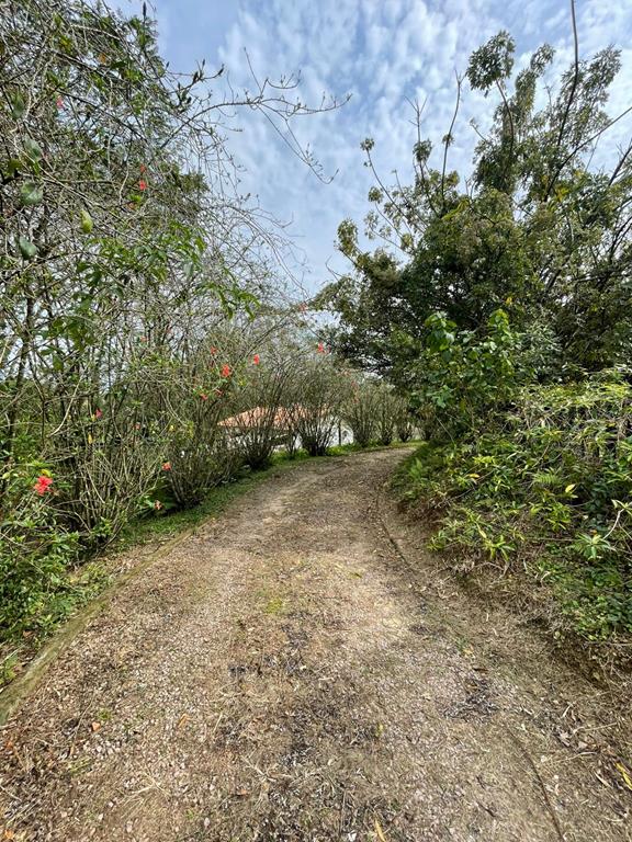 Fotos do imóvel - IM17898