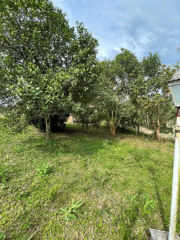 Fotos do imóvel - IM17898