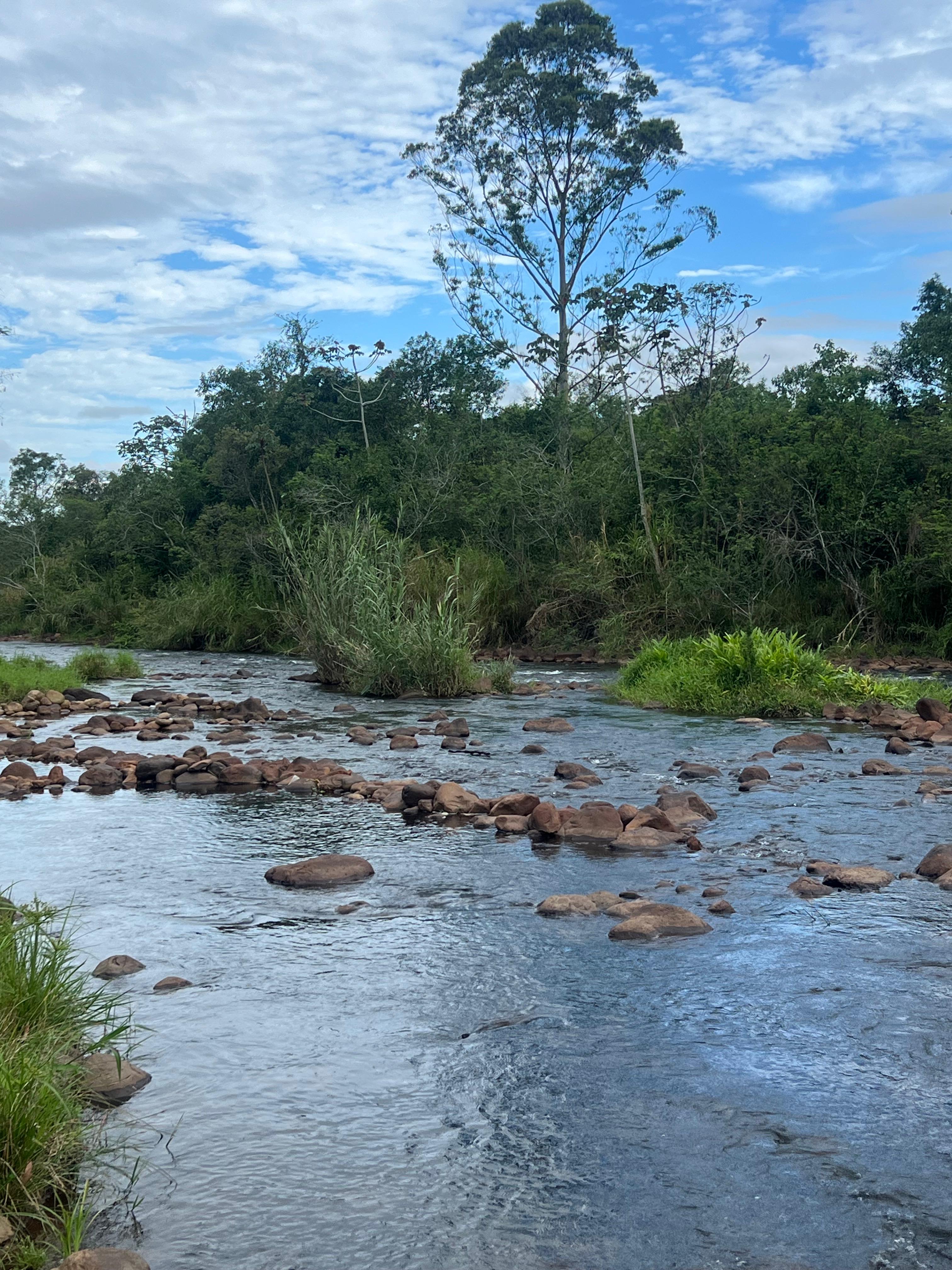 Fotos do imóvel - IM17917