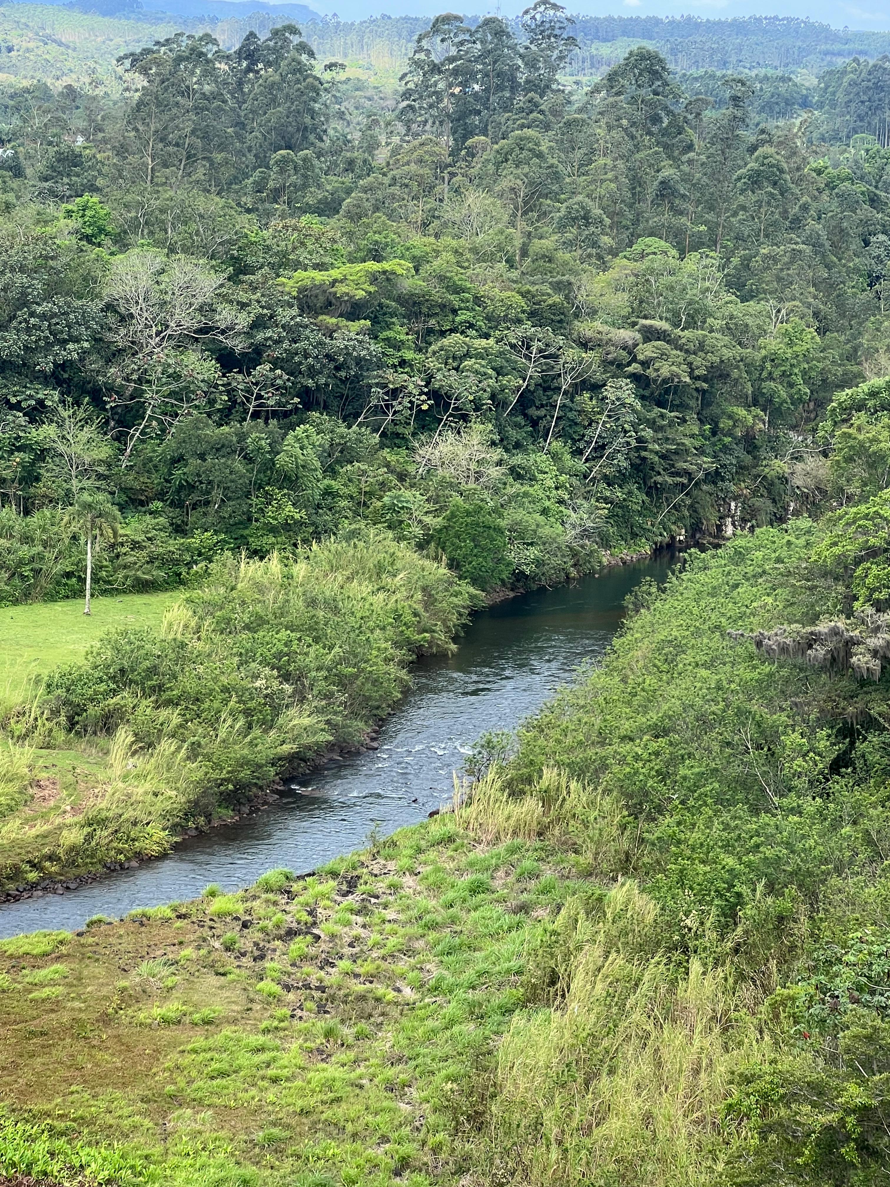 Fotos do imóvel - IM17917