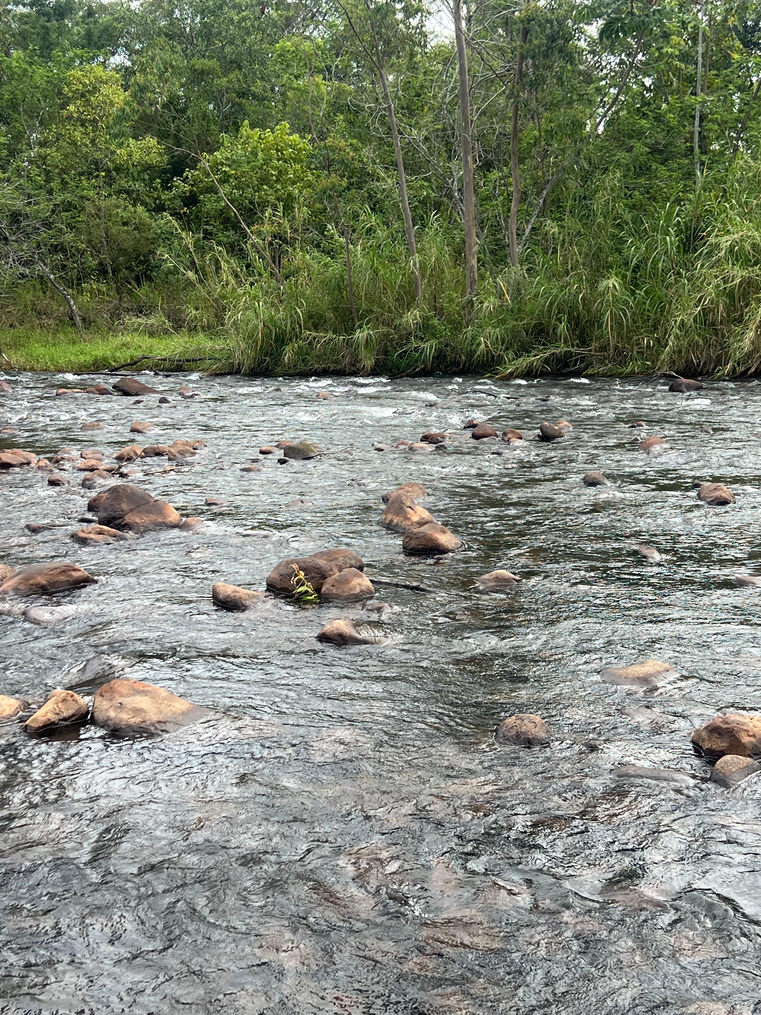 Fotos do imóvel - IM17917
