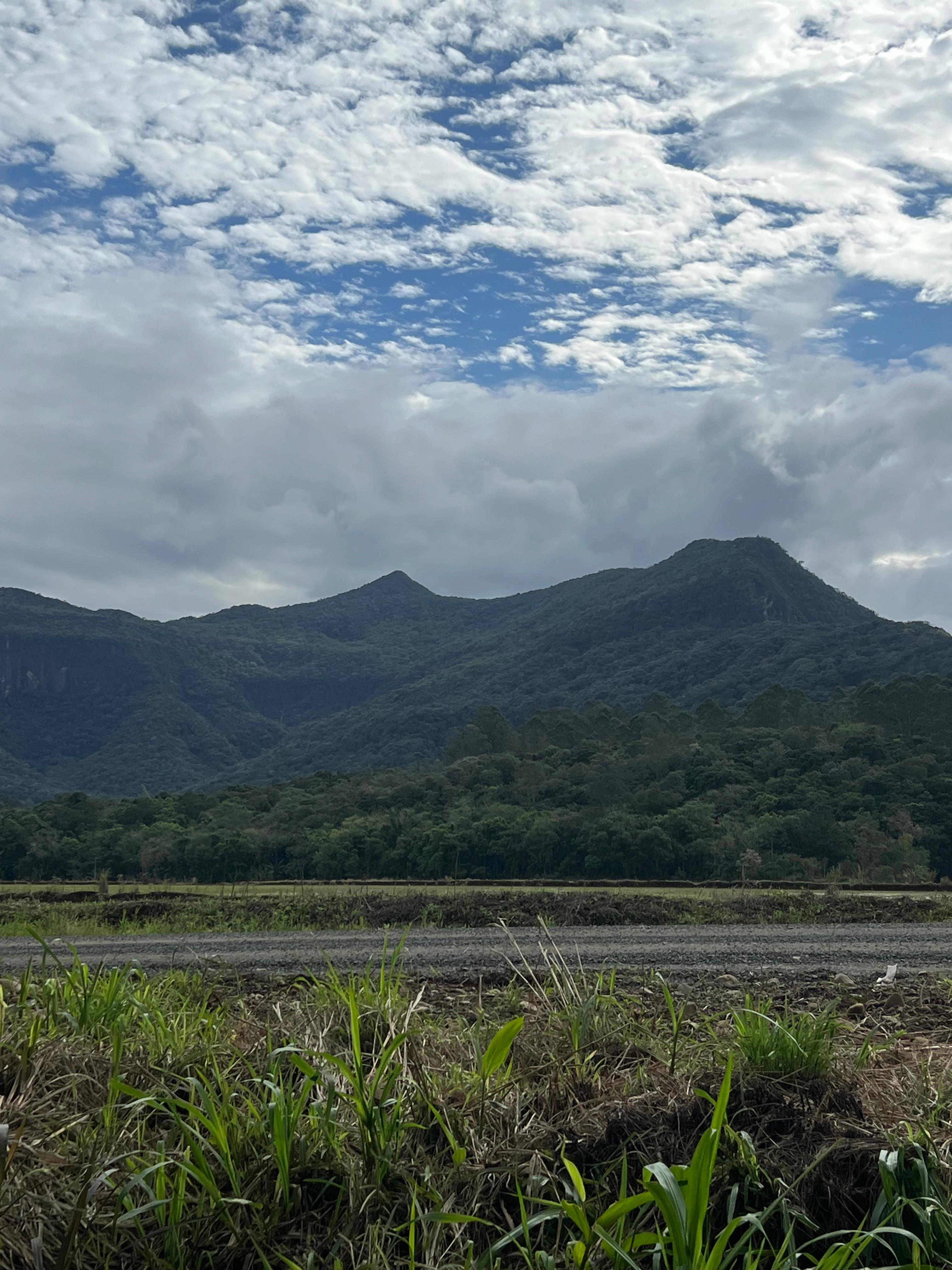 Fotos do imóvel - IM17917