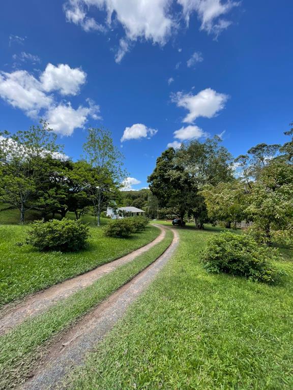 Fotos do imóvel - IM17951