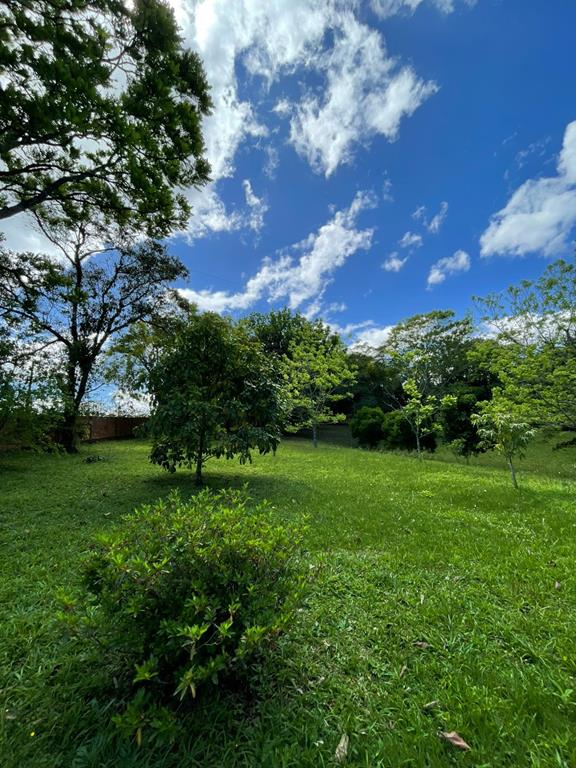 Fotos do imóvel - IM17951