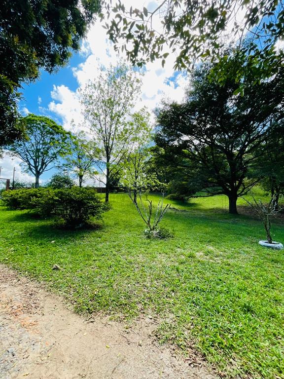 Fotos do imóvel - IM17951