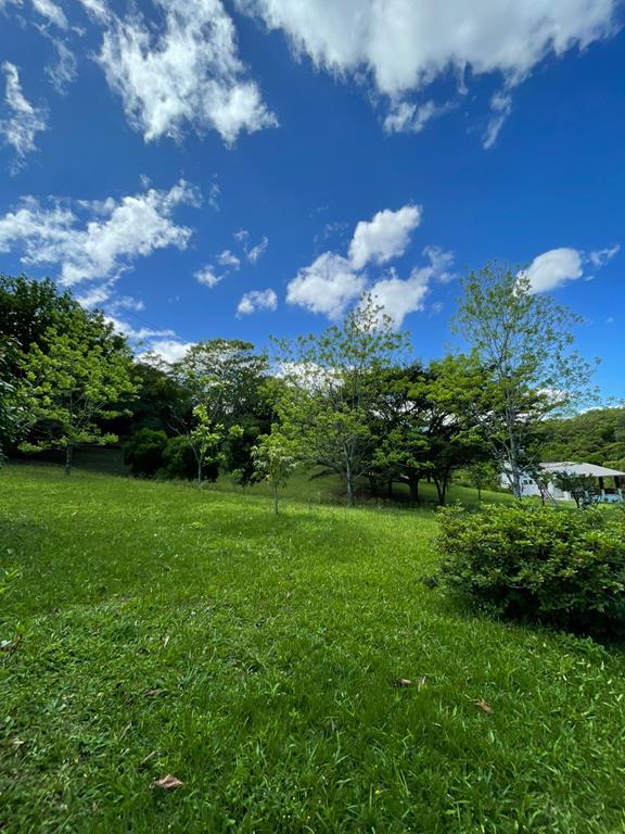 Fotos do imóvel - IM17951