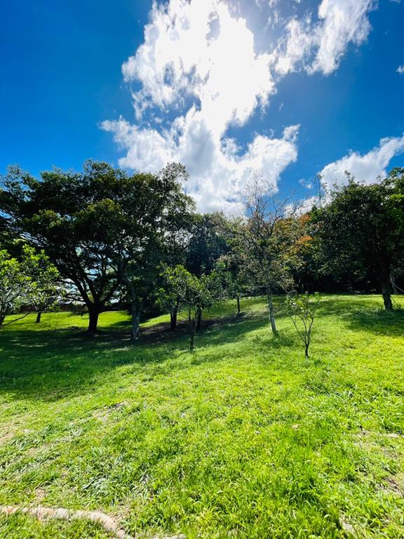 Fotos do imóvel - IM17951