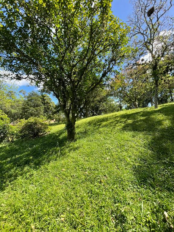 Fotos do imóvel - IM17951