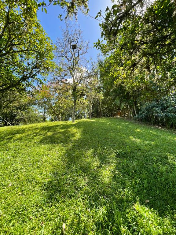 Fotos do imóvel - IM17951