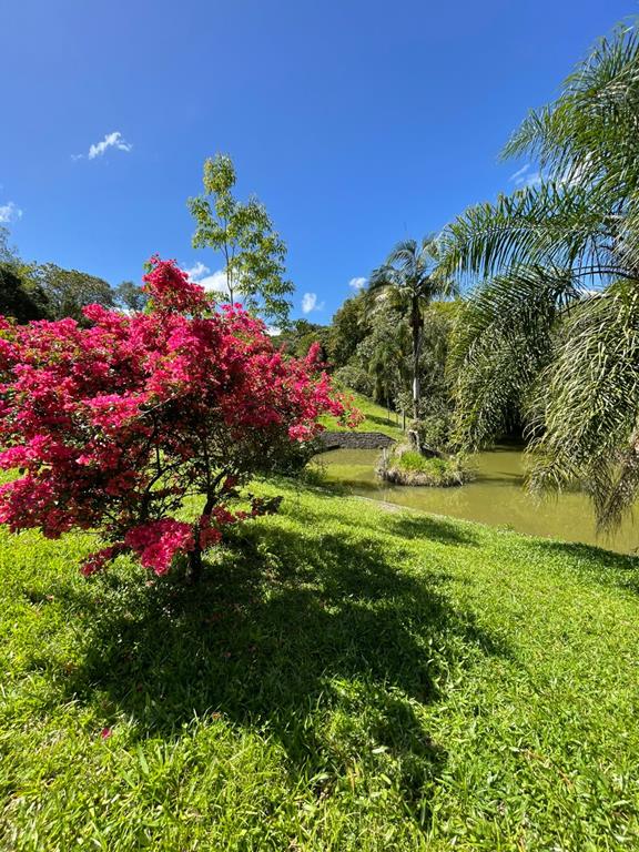 Fotos do imóvel - IM17951